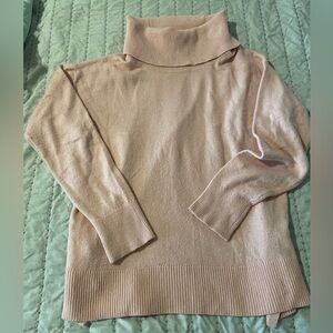 Banana Republic Turtle/Cowl Neck Sweater